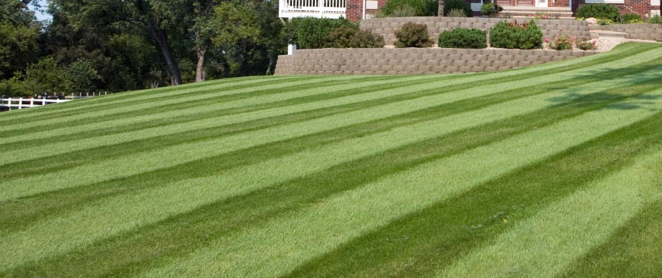 Our team mowed this healthy green lawn recently creating mowing stripes at a home in Fairlawn, OH