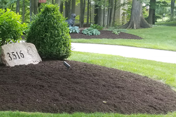 Dark mulch installed in a landscaping bed with shrubs and a rock focus point.