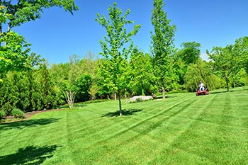 A home located in Montville Township that our team mows regularly with lawn stripes.